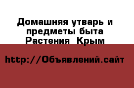 Домашняя утварь и предметы быта Растения. Крым